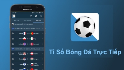 7msport - Trang web cung cấp tỷ số bóng đá, kèo nhà cái chuẩn