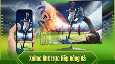 Xem bóng đá trực tuyến miễn phí: Top các trang web và ứng dụng